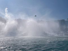 -尼亚加拉瀑布州立公园