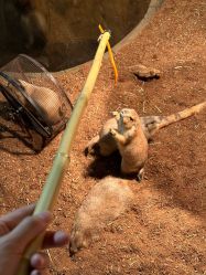 -Zoolung Zoolung动物主题公园(海信广场店)