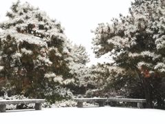 -玲珑塔公园