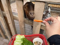 -水上乐园·欢乐世界