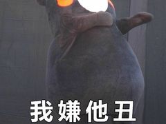 -新视界宝迪国际影城