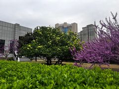 -惠丰源烩面馆(经七路店)