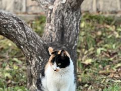 -元大都城垣遗址公园