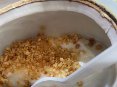 -探窝·竹笙椰子鸡(杨箕店)