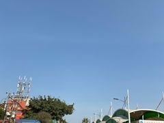 -大湾区中央湿地公园-十九涌