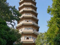 -灵谷景区
