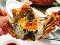大闸蟹-天福苑(崇宁路店)