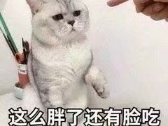 -皇家美孚(麦岛店)