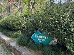 -雨花胜境