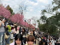 -龟山风景区-龟山电视塔