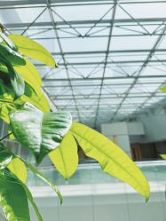 -上海明天广场JW万豪酒店·宴会厅