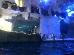 -华夏文旅海洋公园