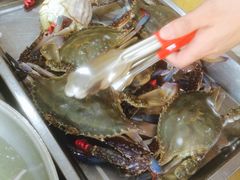-春华海鲜城(广场西苑店)