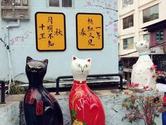 -猫咪博物馆(顶澳仔猫街店)
