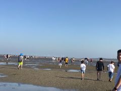 -南汇嘴观海公园