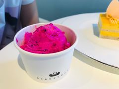 -BLACKSWAN黑天鹅(环球店)