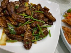 -双井轩(双井店)