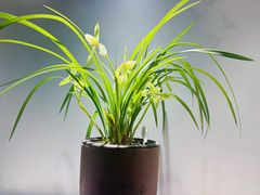 -北京植物园-展览温室