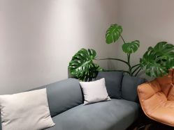 -防空洞舞蹈·瑜伽