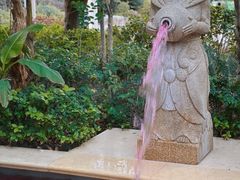 -苏州湾·王焰温泉