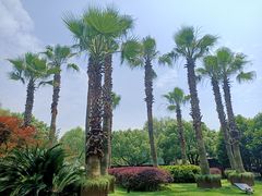 -东湖听涛景区
