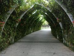 -天津东丽湖风景区