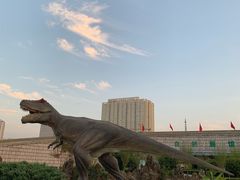 -陕西自然博物馆