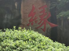 -杭州黄龙洞