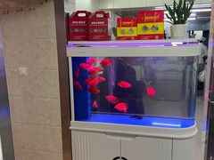 -高桥小香松糕