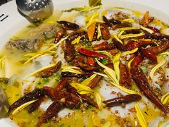 -太二酸菜鱼(正大广场店)