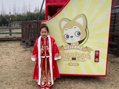 -田园东方蜜桃村的田野营地