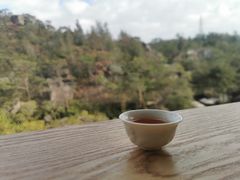 -厦门园林植物园-植物园滴水山房