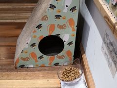 -猫的天空之城概念书店(杭州南宋御街店)