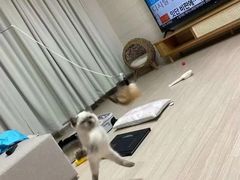 -比格比萨自助(德思勤四季汇店)