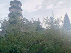 -晋祠公园