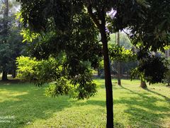 -南宁良凤江国家森林公园