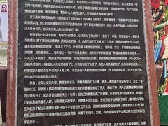 -西双版纳原始森林公园