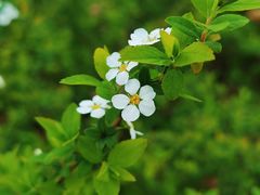 -苏州河梦清园环保主题公园