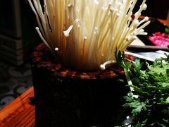 -手选潮汕鲜活牛肉火锅(二七广场店)