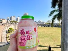 -石炮台公园