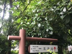 -西湖风景区十里琅珰-五云山