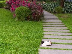 -晓港公园