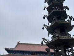 -天津大悲禅院