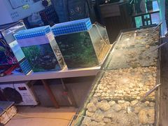 -海天盛宴潮汕蒸汽海鲜高端自助形象店
