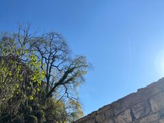 -高荡千年布依古寨旅游景区