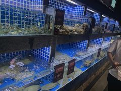 水产区-徐记海鲜(大明宫|北二环店)