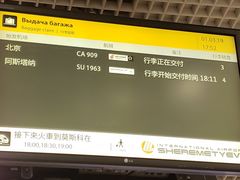-谢列梅捷沃国际机场
