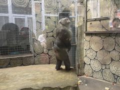 -黔灵山公园
