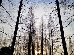 -T80科技文化国际社区-停车场