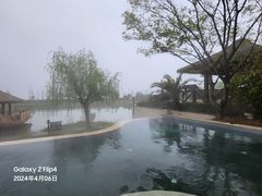 -苏州湾·王焰温泉